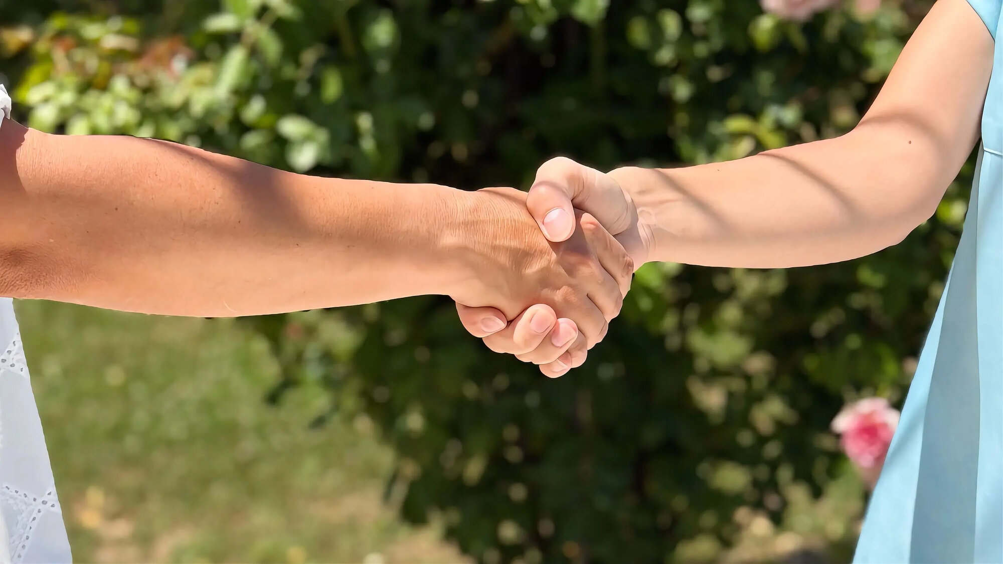 Una stretta di mano tra Silvia e una viaggiatrice, nel verde del giardino